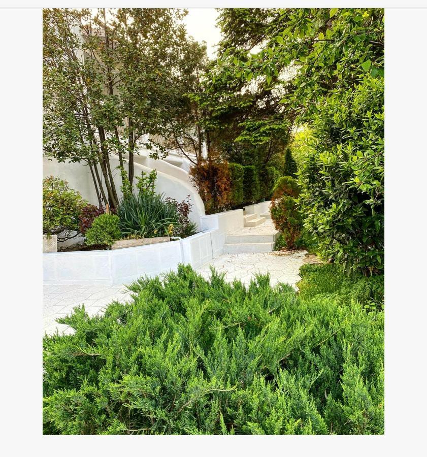Friends Family Hotel Lozenets Bagian luar foto